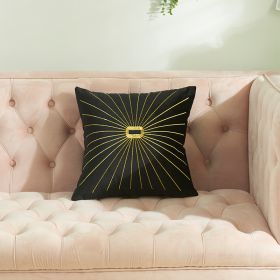 Netherlands Velvet Gold Thread Embroidery Pillow Cover (Option: Black-45x45cm)